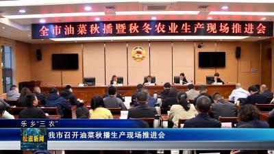 【乐乡“三农”】我市召开油菜秋播生产现场推进会（20251014）