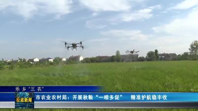 【乐乡“三农”】市农业农村局：开展秋粮“一喷多促”  精准护航稳丰收（20251001）