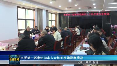 市委第一巡察组向市人大机关反馈巡察情况（20251023）