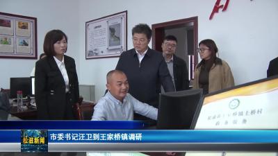 市委书记汪卫到王家桥镇调研（20251030）