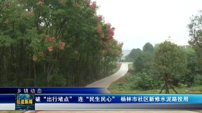 【乡镇动态】破 “出行堵点” 连 “民生民心” 杨林市社区新修水泥路投用（20251020）