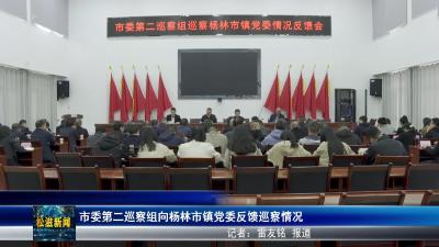 市委第二巡察组向杨林市镇党委反馈巡察情况（20251030）
