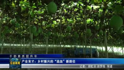 【干部素质提升年】产业育才：乡村振兴的“造血”新路径（20251010）