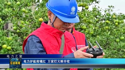 【电力之窗】电力护航柑橘红  万家灯火映丰收（20251013）