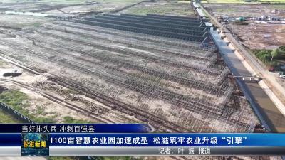 【当好排头兵 冲刺百强县】1100亩智慧农业园加速成型  松滋筑牢农业升级 “引擎”（20251016）