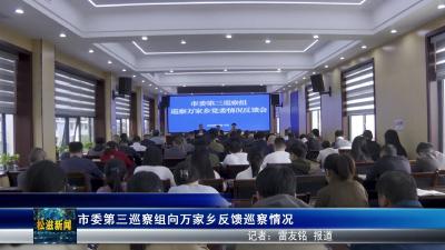 市委第三巡察组向万家乡反馈巡察情况（20251016）