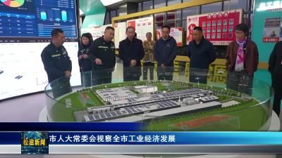 市人大常委会视察全市工业经济发展（20251022）