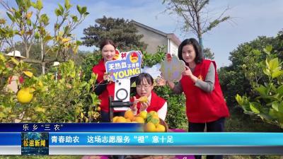 【乐乡“三农”】青春助农  这场志愿服务“橙”意十足（20251111）