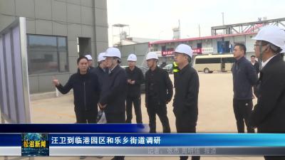 汪卫到临港园区和乐乡街道调研（20251103）