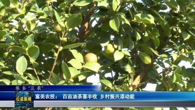 【乐乡“三农”】富美农投：百亩油茶喜丰收  乡村振兴添动能（20251107）