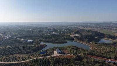 全国零碳村镇建设现场会在松召开