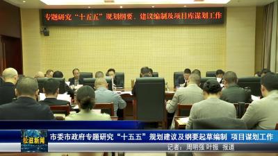 市委市政府专题研究“十五五”规划建议及纲要起草编制 项目谋划工作（20251106）