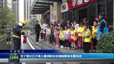 【平安松滋】划子嘴社区开展儿童消防安全演练教育主题活动（20251110）