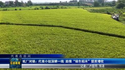 【代表在田间】纸厂河镇：代表小组深耕一线  助推 “绿色稻米” 提质增收（20251110）