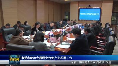 市委市政府专题研究吉他产业发展工作（20251126）