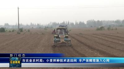 【部门动态】市农业农村局：小麦拌种技术送田间  丰产保障措施入心间（20251106）