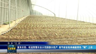 【乐乡“三农”】富美农投：松滋智慧农业示范园部分投产  春节前首批高端蔬菜抢“鲜”上市（20251106）