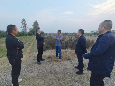 市供销社督办农业社会化服务工作