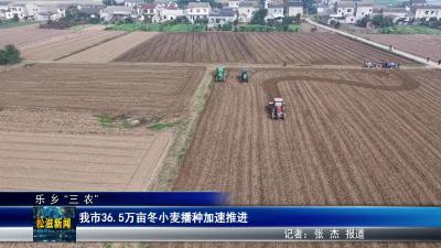 【乐乡“三农”】我市36.5万亩冬小麦播种加速推进（20251113）