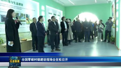 全国零碳村镇建设现场会在松召开（20251126）