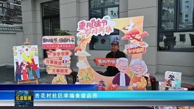 杏花村社区幸福食堂启用（20251103）