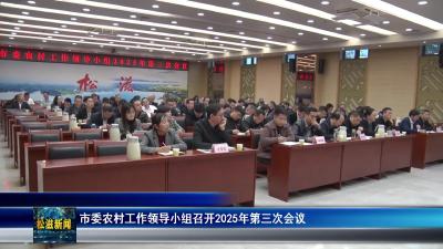 市委农村工作领导小组召开2025年第三次会议（20251107）
