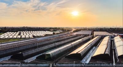 “十四五”·松滋答卷 |  项目引擎，激活冲刺“加速度”