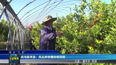 【乐乡“三农”】南海新果源：高品质柑橘持续俏销（20251127）