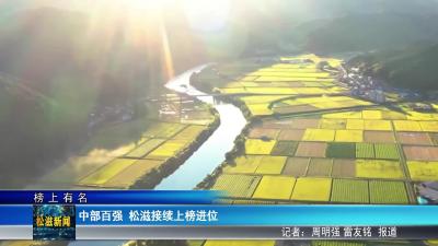 【榜上有名】中部百强  松滋接续上榜进位（20251120）