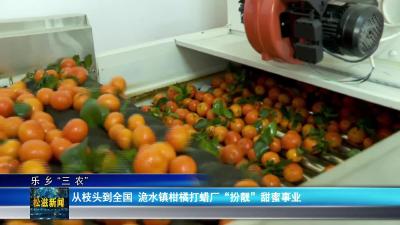 【乐乡“三农”】从枝头到全国  洈水镇柑橘打蜡厂“扮靓”甜蜜事业（20251125）
