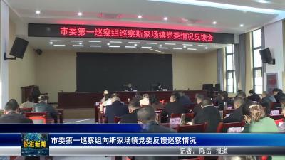 市委第一巡察组向斯家场镇党委反馈巡察情况（20251117）