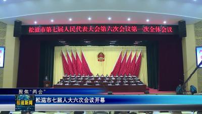 【聚焦“两会”】松滋市七届人大六次会议开幕（20251229）