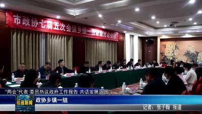 “两会”代表 委员热议政府工作报告 共话发展蓝图  政协乡镇一组（20251229）