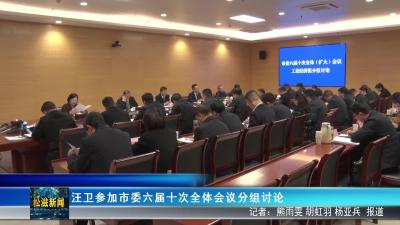 汪卫参加市委六届十次全体会议分组讨论（20251210）