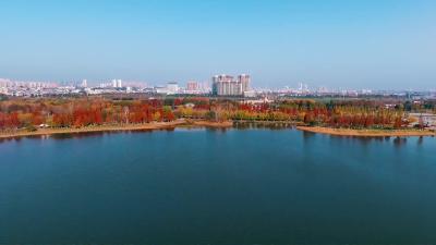 松滋的他，全省亚军