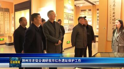 荆州市老促会调研我市红色遗址保护工作（20251225）