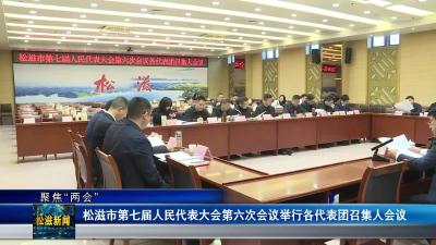【聚焦“两会”】松滋市第七届人民代表大会第六次会议举行各代表团召集人会议（20251228）