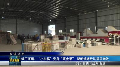 【乡镇动态】纸厂河镇：“小柑橘”变身“黄金果”  驱动镇域经济提质增效（20251224）