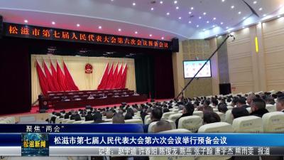 【聚焦“两会”】松滋市第七届人民代表大会第六次会议举行预备会议（20251228）