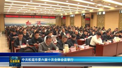 中共松滋市委六届十次全体会议举行（20251210）