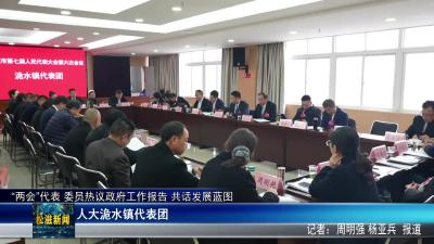 “两会”代表 委员热议政府工作报告 共话发展蓝图  人大洈水镇代表团（20251229）