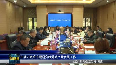 市委市政府专题研究松滋鸡产业发展工作（20251226）