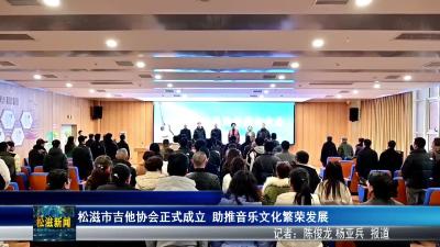 松滋市吉他协会正式成立  助推音乐文化繁荣发展（20251225）