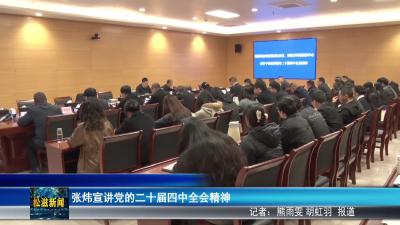 张炜宣讲党的二十届四中全会精神（20251205）