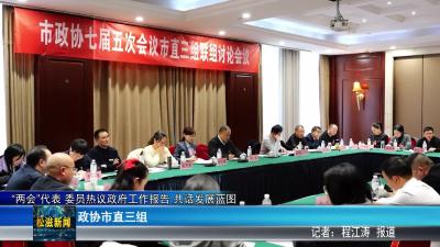 “两会”代表 委员热议政府工作报告 共话发展蓝图  政协市直三组（20251229）