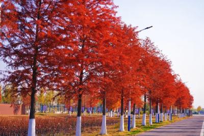 政协松滋市七届五次会议时间及议程确定