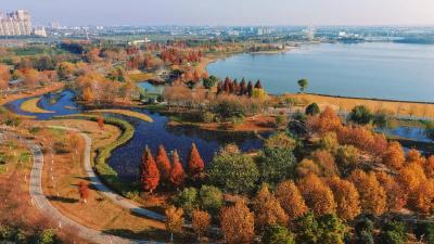 “超级文旅日”开启，“惠”游松滋等着你 