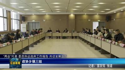 “两会”代表 委员热议政府工作报告 共话发展蓝图  政协乡镇三组（20251229）