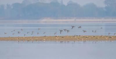 小南海，鸟的天堂 