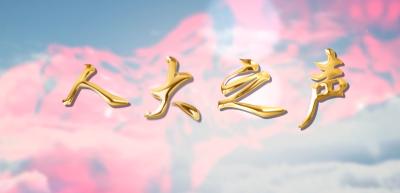 【人大之声】市人大：监督直抵民生现场 履职守护万家幸福（20251223）